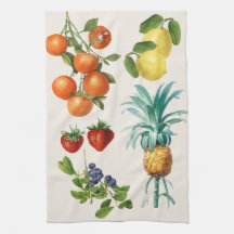 Illustrations de fruits vintage
