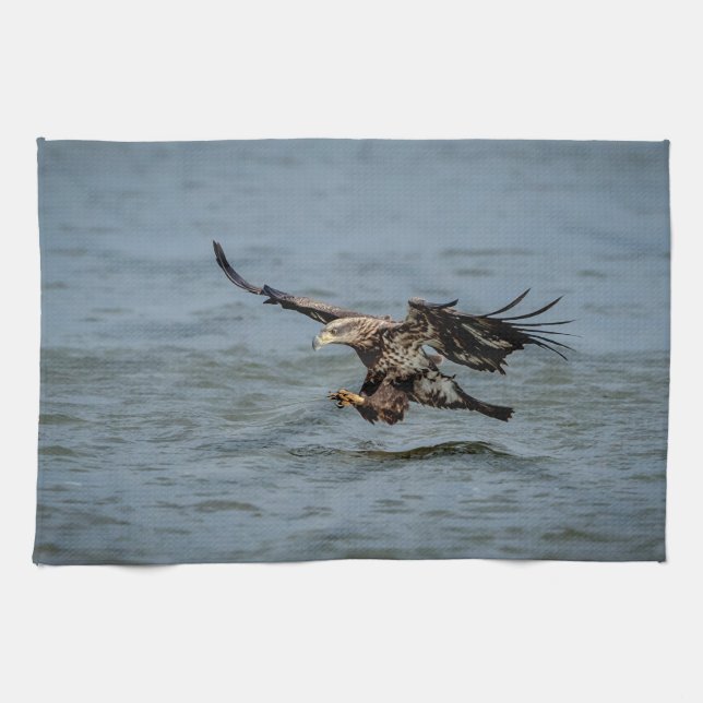 Linge De Cuisine Immature Bald Eagle plongée pour un poisson (Horizontal)