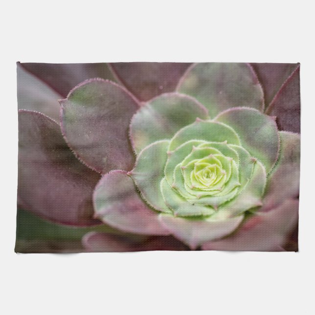 Linge De Cuisine Impression Cactus | Une Fleur de cactus du désert (Horizontal)