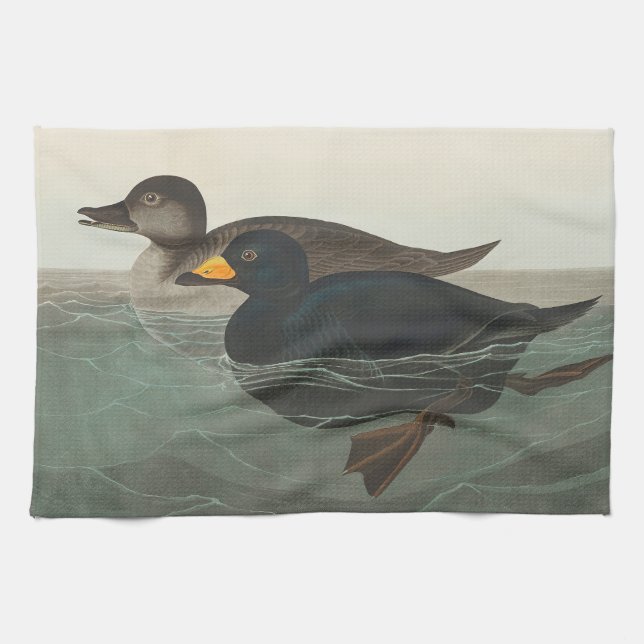Linge De Cuisine Impression de Macreuse noire d'Audubon : Canard cô (Horizontal)
