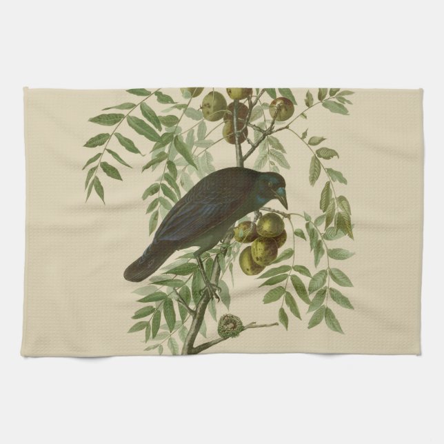 Linge De Cuisine Impression d'oiseau Grackle violet d'Audubon Botan (Horizontal)