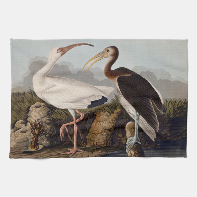 Linge De Cuisine Impression d'oiseau Ibis blanc de John James Audub (Horizontal)