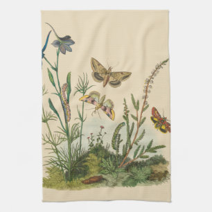 Linge De Cuisine Insectes de jardin vintage, papillons, chenilles