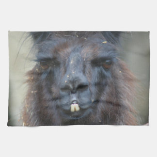 Linge De Cuisine Intense Llama Noire Visage gros haut