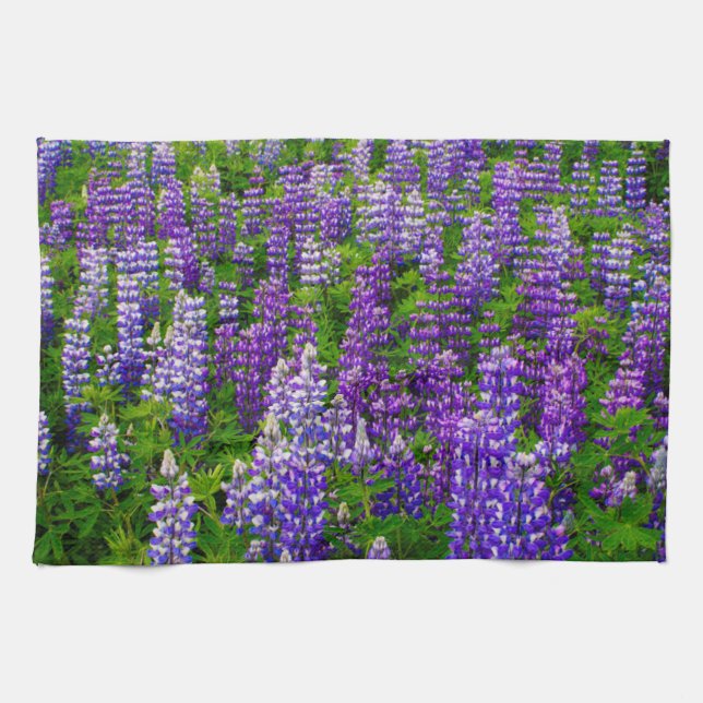 Linge De Cuisine Islande. Vik i Myrdal. Champ de lupins (Horizontal)