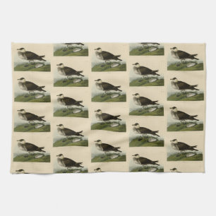 Linge De Cuisine Jager (Pomarine Jaeger) Audubon's Birds of America