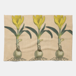 Linge De Cuisine Jardin botanique de tulipe Amaryllis Fleur