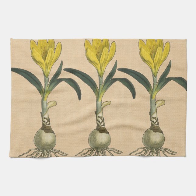 Linge De Cuisine Jardin botanique de tulipe Amaryllis Fleur (Horizontal)