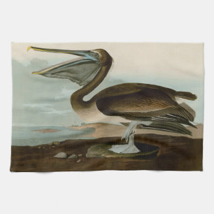 Linge De Cuisine John James Audubon Peinture Pélicane Brown
