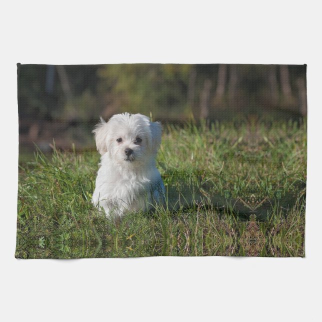 Linge De Cuisine Joli chiot blanc (Horizontal)