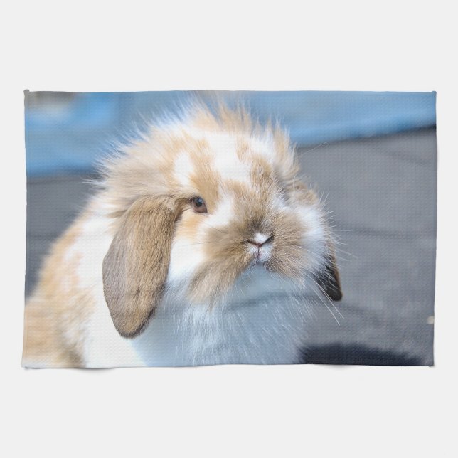 Linge De Cuisine Joli lapin blanc et brun flamand (Horizontal)