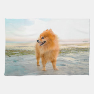 Linge De Cuisine Joli Pomeranian orange sur une plage de sable
