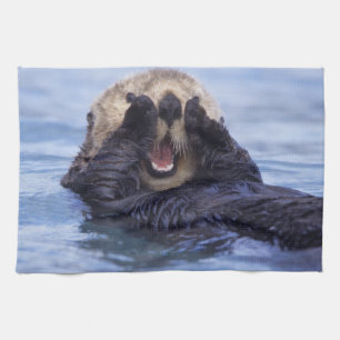 Linge De Cuisine Jolie loutre de mer Alaska, États-Unis
