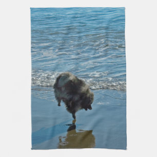 Linge De Cuisine Keeshond Ballet Photographie - Joli chien d'origin