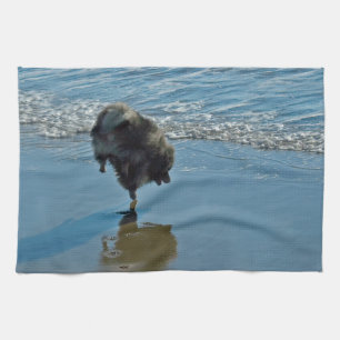 Linge De Cuisine Keeshond Ballet Photographie - Joli chien d'origin