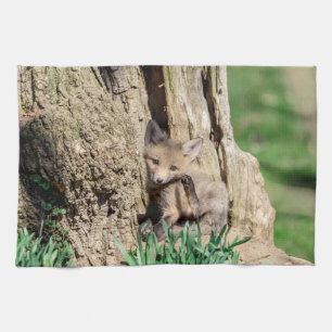 Linge De Cuisine Kit Fox dans la vallée de l'Hudson
