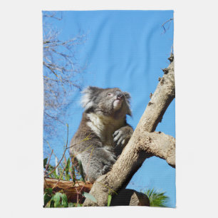 Linge De Cuisine Koala A Le Temps De Réfléchir À La Vie,