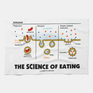 Linge De Cuisine La Science de la consommation (humour de biologie
