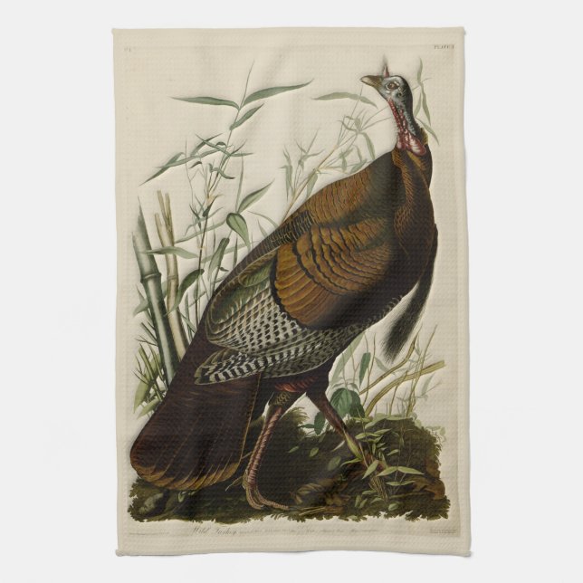 Linge De Cuisine La Turquie sauvage par John Audubon (Vertical)