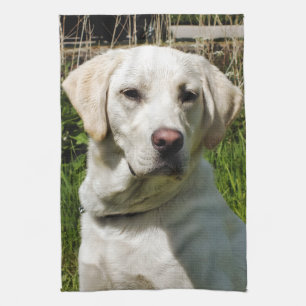 LINGE DE CUISINE LABRADOR DOG