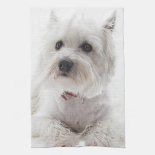 Linge De Cuisine L'adorable Terrier de White West Highland