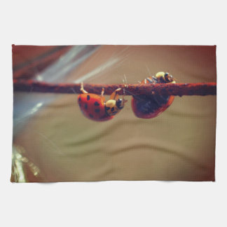 Linge De Cuisine Ladybugs Équilibrer gros 