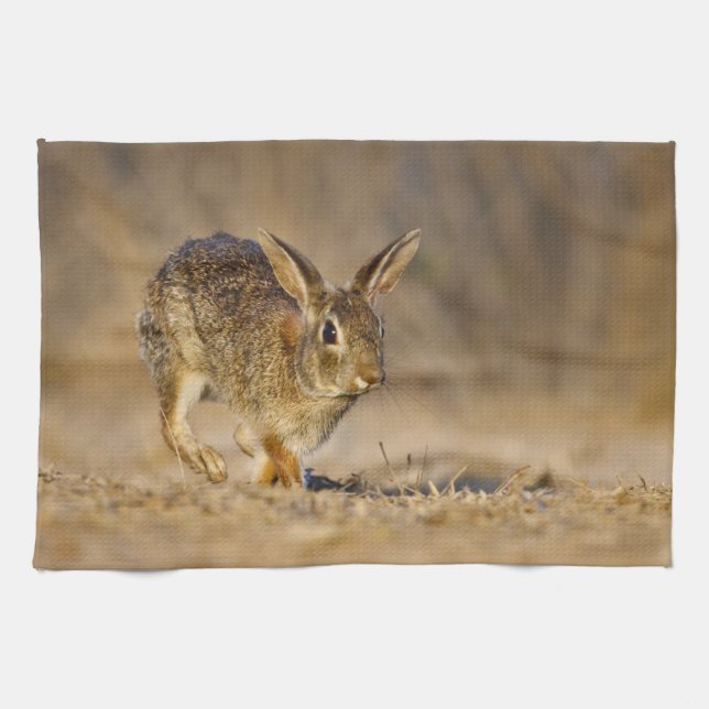 Linge De Cuisine lapin à queue blanche sautant (Horizontal)