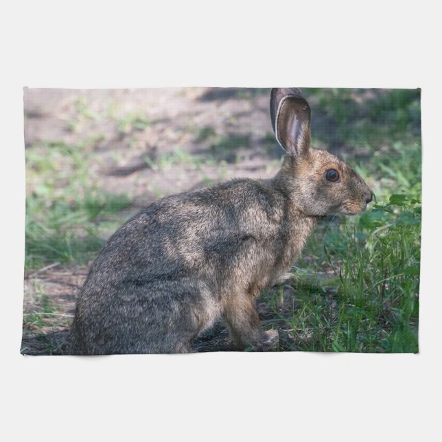 Linge De Cuisine Lapin Brown, Repos dans la nature (Horizontal)
