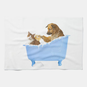 Linge De Cuisine Lavage de chat