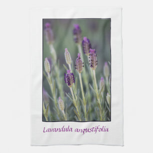 Linge De Cuisine Lavande en fleur