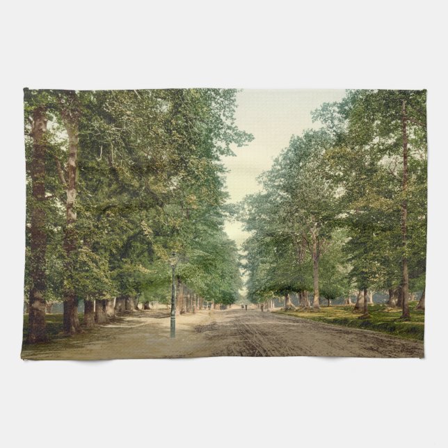 Linge De Cuisine L'Avenue, Southampton, Hampshire, Angleterre (Horizontal)
