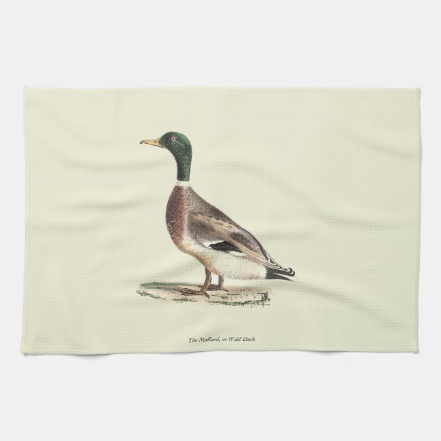 Linge De Cuisine Le canard colvert ou sauvage (Anas platyrhynchos) (Horizontal)