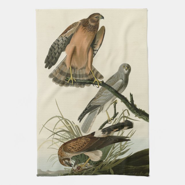 Linge De Cuisine Le faucon des marais des oiseaux d'Amérique d'Audu (Vertical)