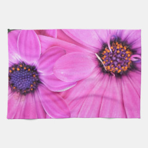 Linge De Cuisine Le rose fleurit la marguerite de Gerbera florale