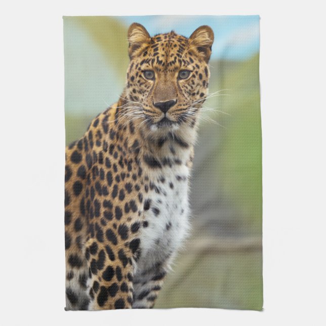 Linge De Cuisine Leopard (Vertical)