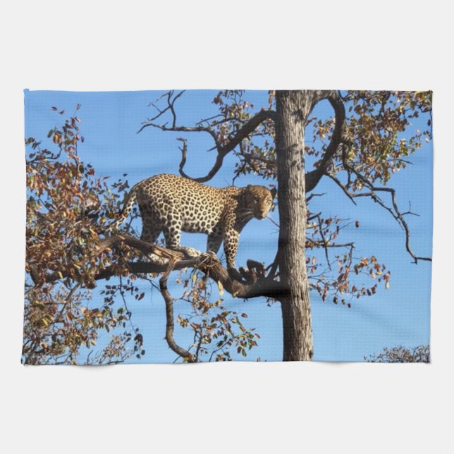 Linge De Cuisine Leopard dans un arbre en Afrique (Horizontal)