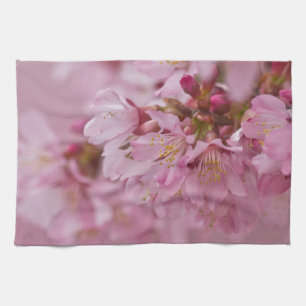 Linge De Cuisine Les fleurs de cerisier de Sakura pâlissent - des