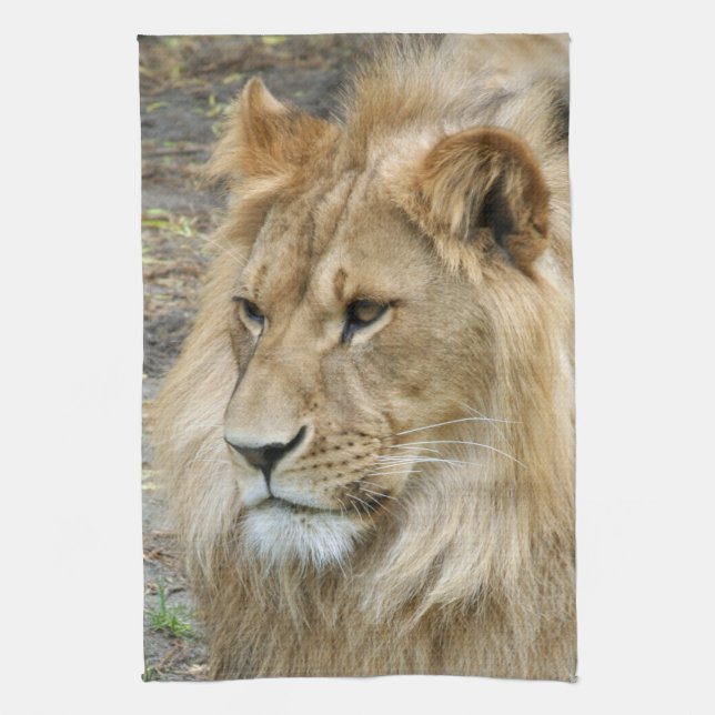 Linge De Cuisine Lion 011 (Vertical)