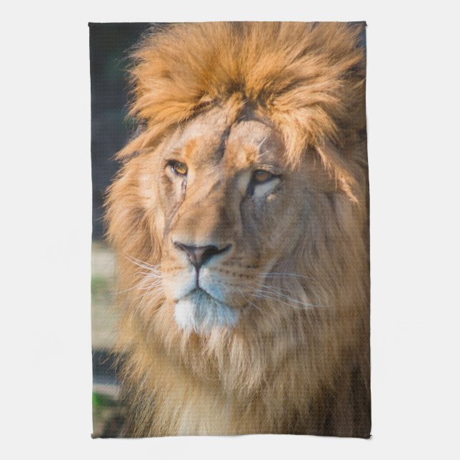 Linge De Cuisine Lion 013 (Vertical)