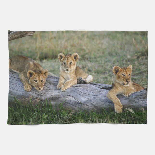 Linge De Cuisine Lionceaux sur rondin (Horizontal)