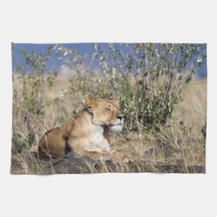 Linge De Cuisine Lioness resting