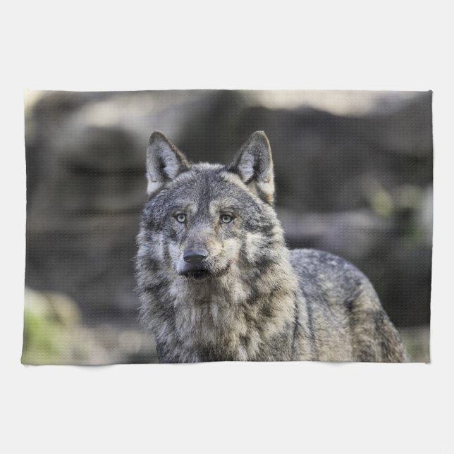 Linge De Cuisine Loup gris (Horizontal)