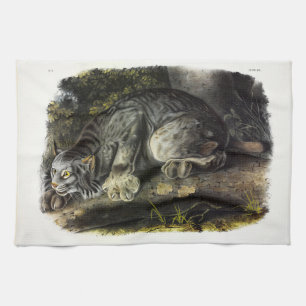 Linge De Cuisine Lynx du Canada (Lynx Canadensis) (Lynx du Canada)