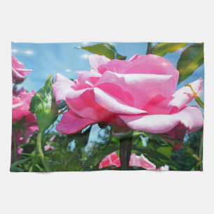 Linge De Cuisine Magnifique rose rose dans un ciel bleu. Photograph