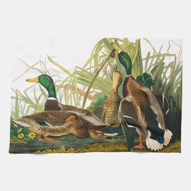 Linge De Cuisine Mallard Duck par John James Audubon (Horizontal)