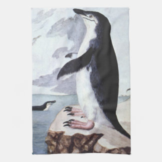 Linge De Cuisine Manchot à jugulaire, Oiseaux d'Antarctique d'autre