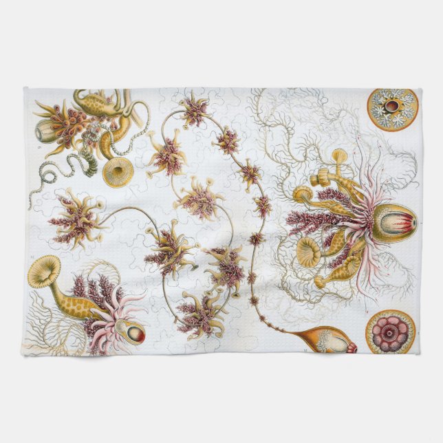 Linge De Cuisine Méduses d'Ernst Haeckel Siphonophorae (Horizontal)