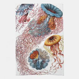 Linge De Cuisine Méduses vintage par Ernst Haeckel, Discomedusae