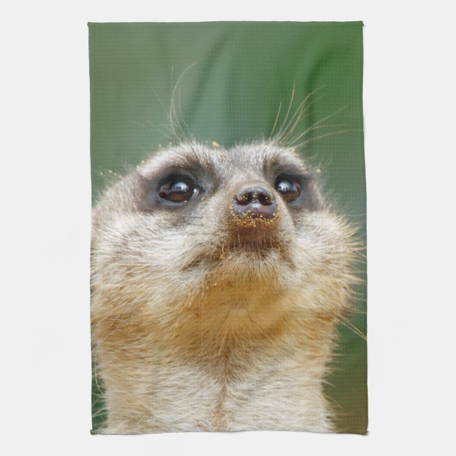 Linge De Cuisine Meerkat 012 (Vertical)