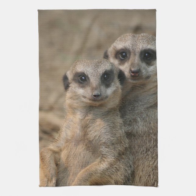Linge De Cuisine Meerkat_20170901_by_JAMFoto (Vertical)
